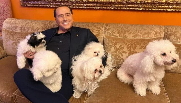 patrimonio berlusconi suddiviso