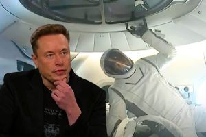 spacex elon musk