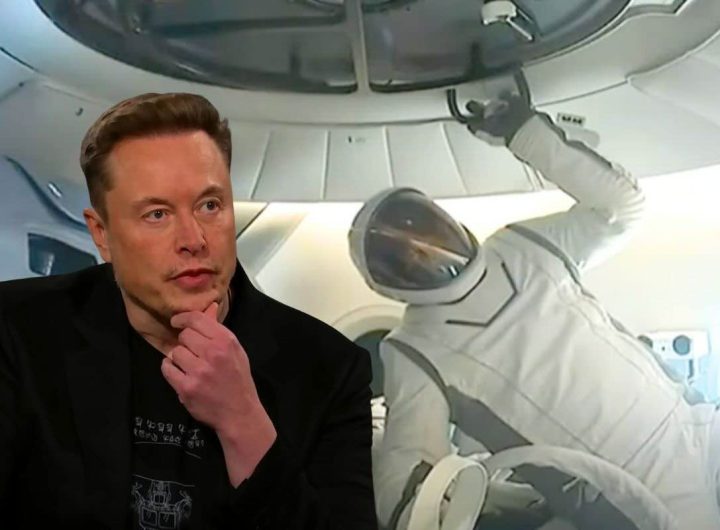 spacex elon musk