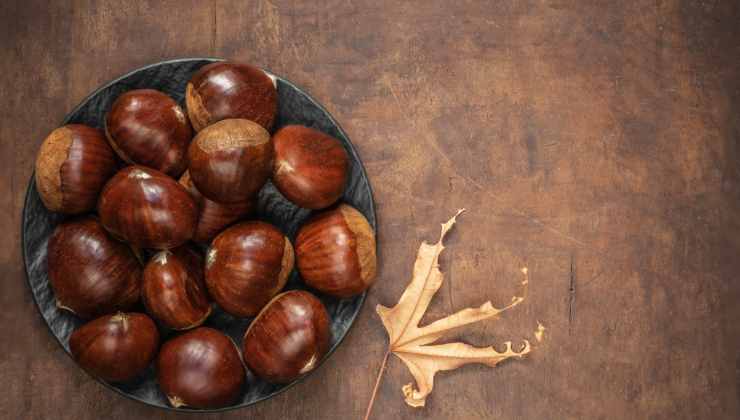 ricetta cioccolata di castagne