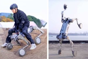 cane robot acrobata