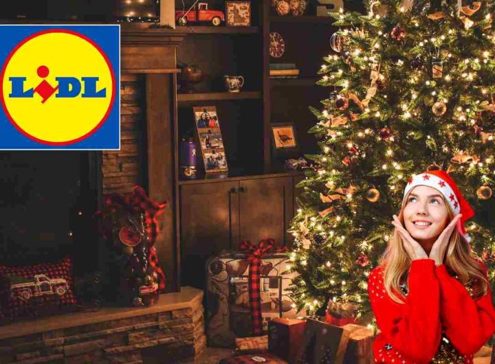 regalo natale lidl per la casa