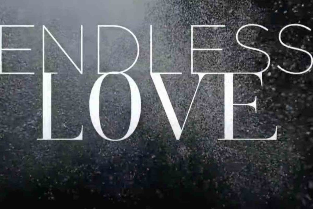 endless love come finisce