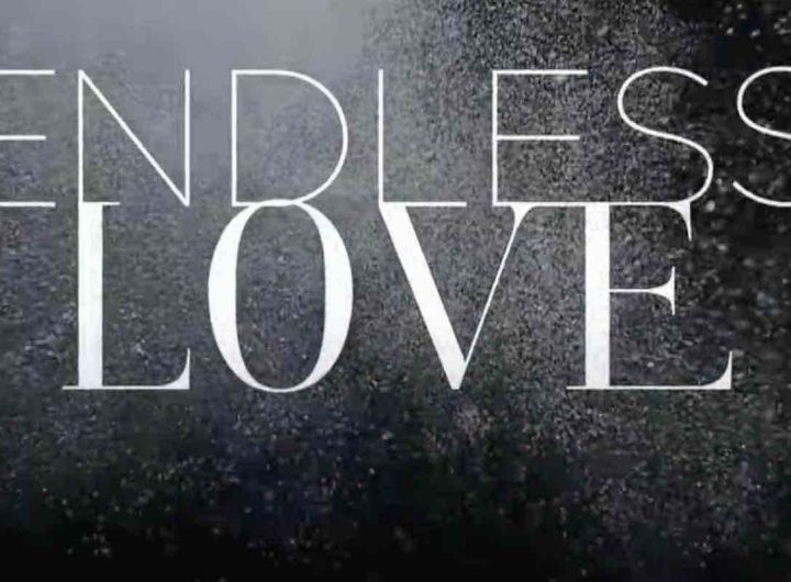 endless love come finisce