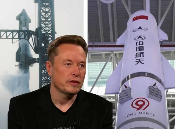 elon musk cina